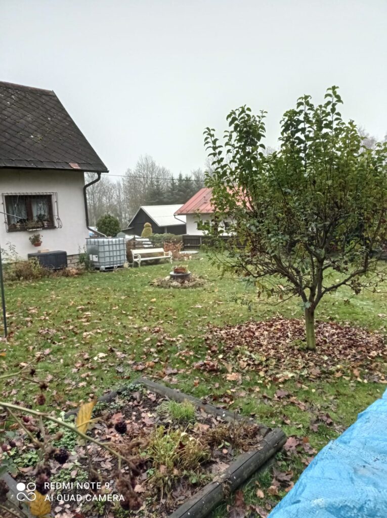 sekání trávníku před